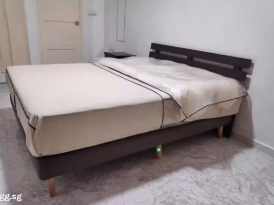 单间出租 • 林厝港 • 544 Jurong West Street 42 • S$1200 • 4房(3臥室) • 主人房 照片