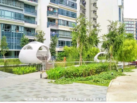 单间出租 • 宏茂桥 •  The Palette • S$1000 • 住宅公寓 • 普通房 照片