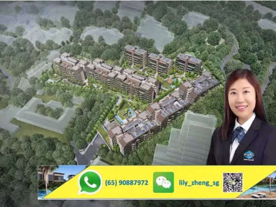 房屋出售 • 蔡厝港 •  Terra Hill • S$1865000 • 住宅公寓 • 678ft² / 62m² 照片