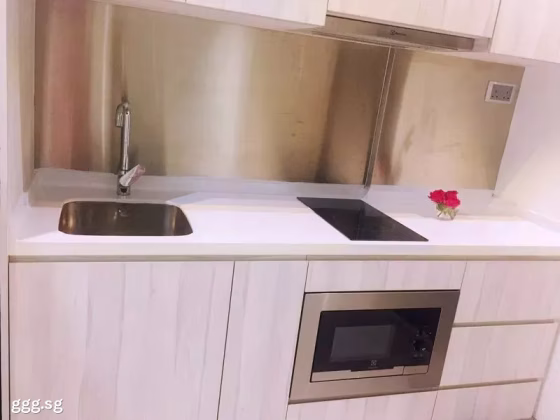 单间出租 • 芽笼 •  Park 1 Suites • S$1680 • 住宅公寓 • 普通房 照片