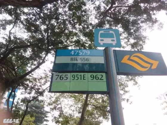 房屋出售 • 三巴旺 • 551 Woodlands Drive 44 • S$550000 • 3房(2臥室) • 1076ft² / 99m² 照片