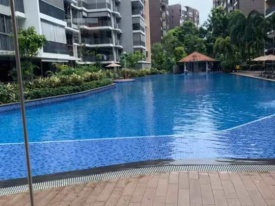 单间出租 • 三巴旺 •  Twin Fountains • S$700 • 住宅公寓 • 普通房 照片