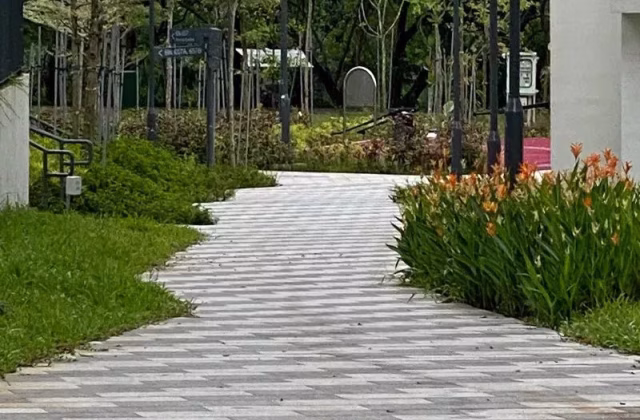 单间出租 • 樟宜 •  Punggol East • S$700 • 5房(4臥室) • 普通房