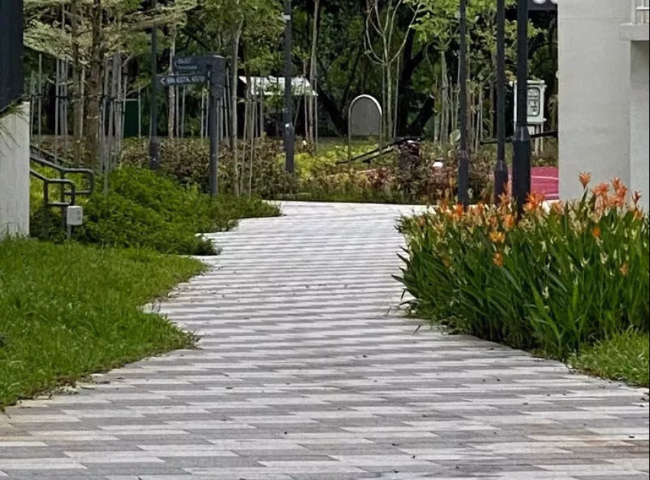 单间出租 • 樟宜 •  Punggol East • S$700 • 5房(4臥室) • 普通房 照片