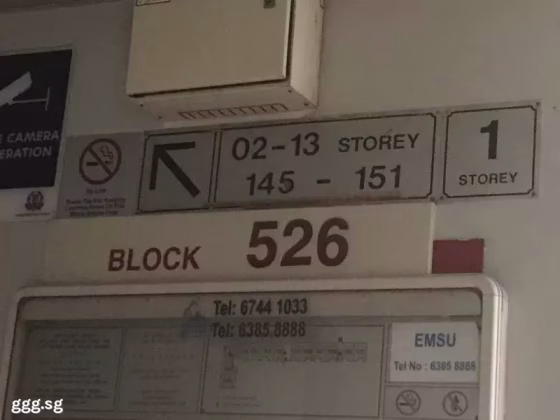 单间出租 • 新加坡河 • 526 Hougang Avenue 6 • S$1100 • 5房(4臥室) • 普通房 照片