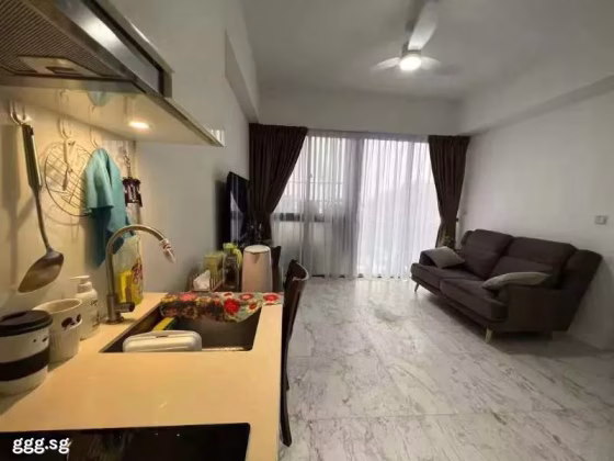 整套出租 • 欧南 •  Pavilion Square • S$3200 • 住宅公寓 • 500ft² / 46m² 照片