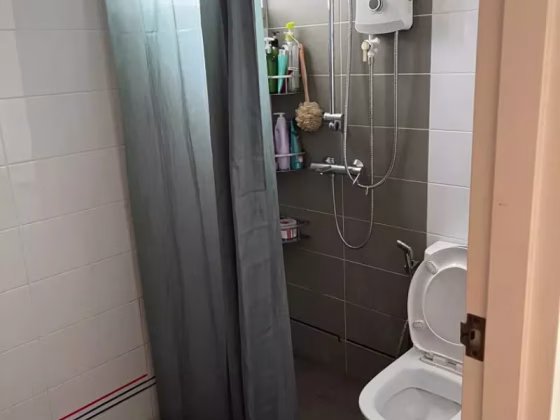 单间出租 • 林厝港 • 217B Boon Lay Avenue • S$450 • 4房(3臥室) • 普通房 照片