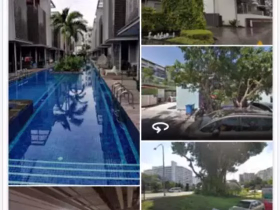 整套出租 • 勿洛 •  Euhabitat • S$3200 • 住宅公寓 • 564ft² / 52m² 照片