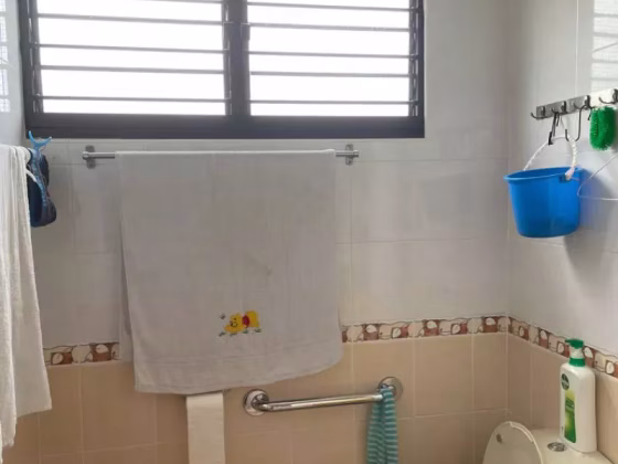 单间出租 • 西部集水区 • 236 Tampines Street 21 • S$900 • 3房(2臥室) • 普通房 照片