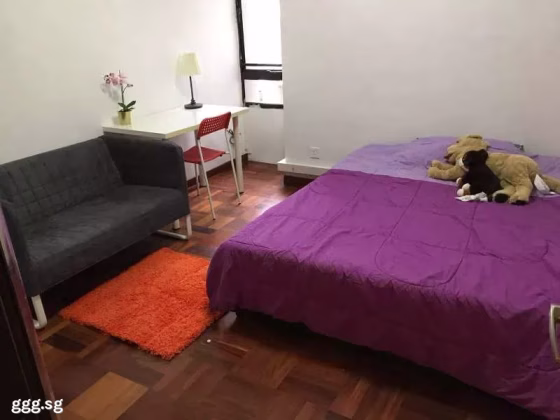 单间出租 • 纽顿 •  Balestier Point • S$1350 • 住宅公寓 • 普通房 照片