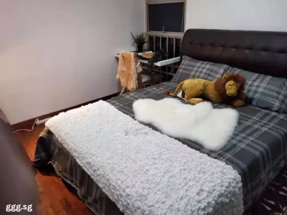 单间出租 • 纽顿 •  Balestier Point • S$1350 • 住宅公寓 • 普通房 照片