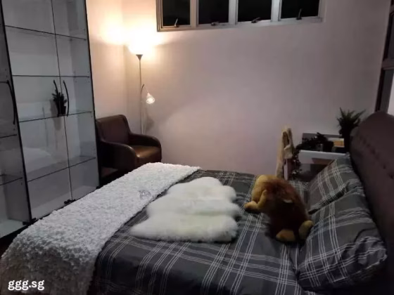 单间出租 • 纽顿 •  Balestier Point • S$1350 • 住宅公寓 • 普通房 照片