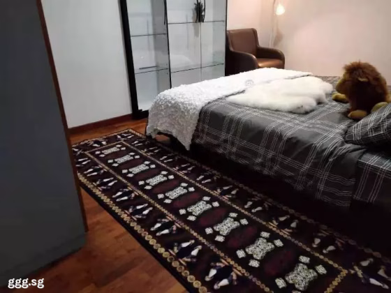 单间出租 • 纽顿 •  Balestier Point • S$1350 • 住宅公寓 • 普通房 照片