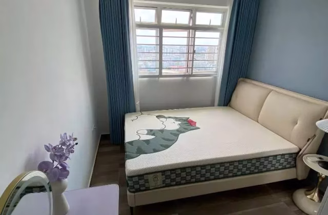 单间出租 • 纽顿 • 78 Lorong Limau • S$1400 • 4房(3臥室) • 普通房