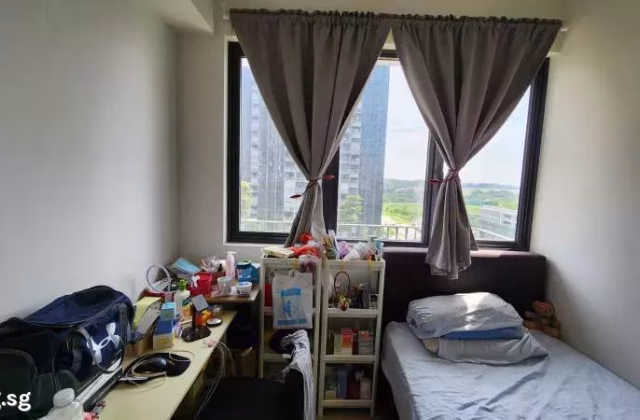 单间出租 • 碧山 •  High Park Residences • S$1200 • 住宅公寓 • 普通房