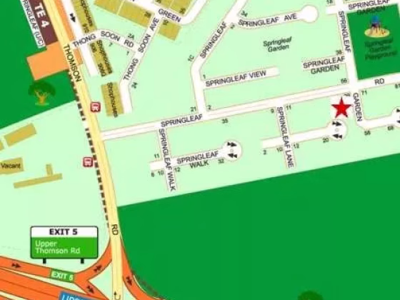 整套出租 • 梧槽 •  Springleaf Garden • S$10800 • 双拼别墅 • 5711ft² / 530m² 照片