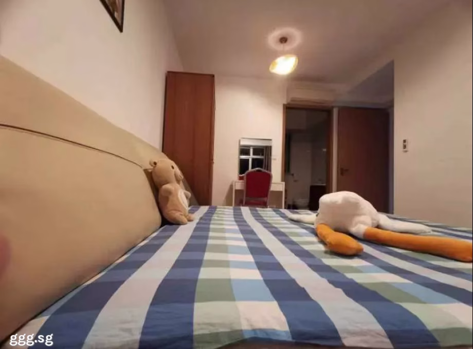 单间出租 • 武吉知马 • 154B Bedok South Road • S$1850 • 4房(3臥室) • 主人房 照片