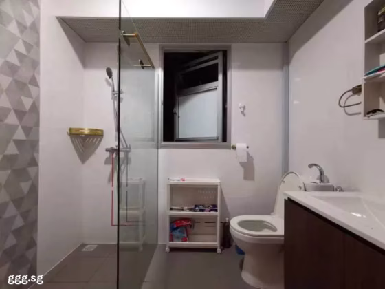 单间出租 • 武吉知马 • 154B Bedok South Road • S$1850 • 4房(3臥室) • 主人房 照片