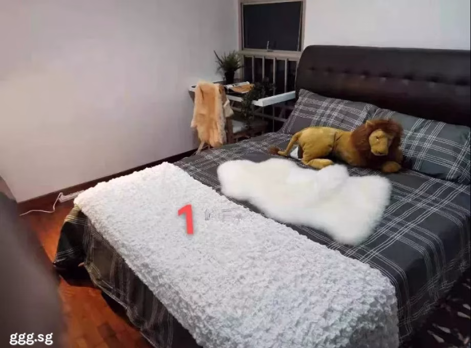 单间出租 • 纽顿 •  Parc Haven • S$1500 • 住宅公寓 • 普通房 照片