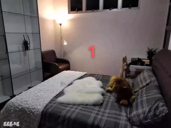 单间出租 • 纽顿 •  Parc Haven • S$1500 • 住宅公寓 • 普通房 照片