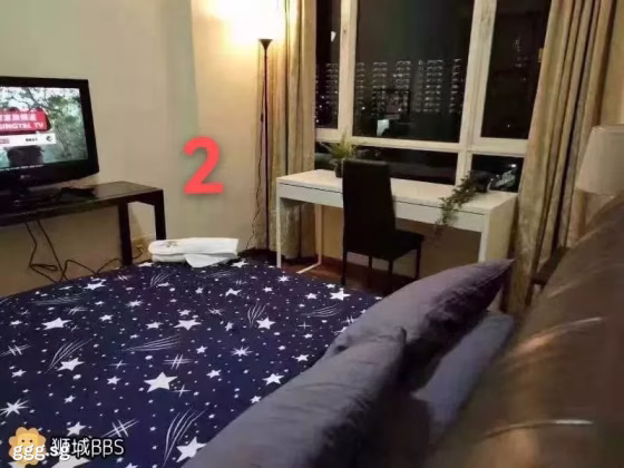 单间出租 • 纽顿 •  Parc Haven • S$1500 • 住宅公寓 • 普通房 照片