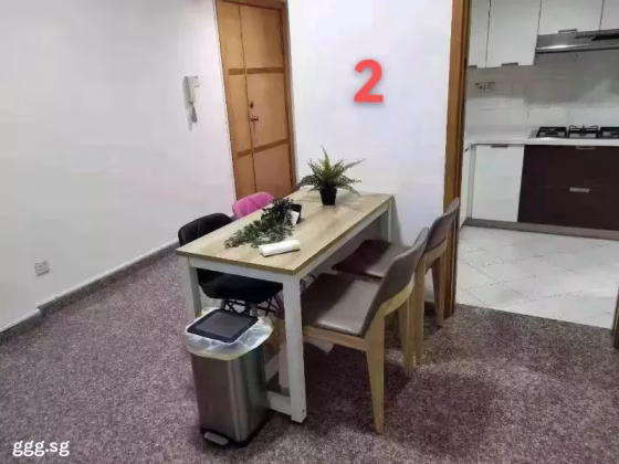 单间出租 • 纽顿 •  Parc Haven • S$1500 • 住宅公寓 • 普通房 照片