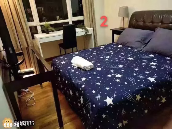 单间出租 • 纽顿 •  Parc Haven • S$1500 • 住宅公寓 • 普通房 照片