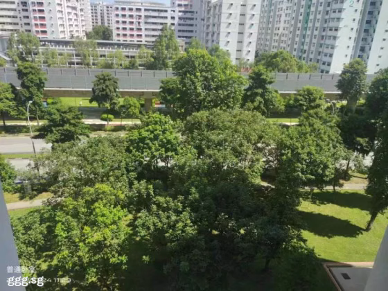 单间出租 • 芽笼 • 756 Choa Chu Kang North 5 • S$1100 • 执行组屋 • 普通房 照片