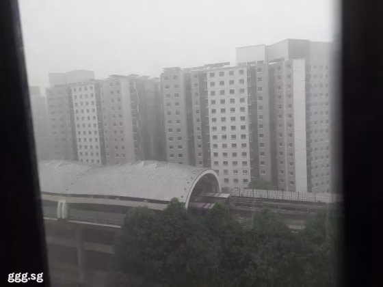 单间出租 • 林厝港 • 651B Jurong West Street 61 • S$650 • 3房(2臥室) • 普通房 照片