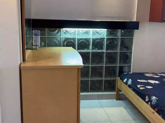 单间出租 • 市中心 • 161 Bishan Street 13 • S$1200 • 5房(4臥室) • 普通房 照片