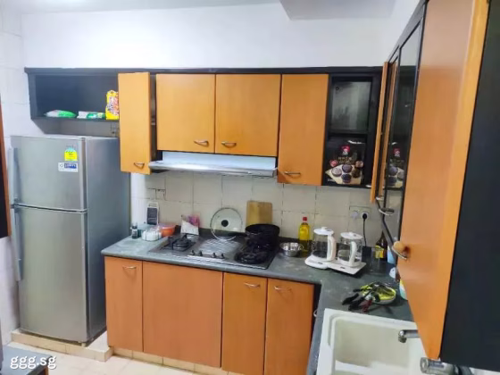 整套出租 • 博物馆 •  Moonstone View • S$5200 • 住宅公寓 • 1067ft² / 99m² 照片