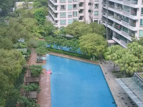 单间出租 • 宏茂桥 •  Livia • S$1500 • 住宅公寓 • 主人房 照片