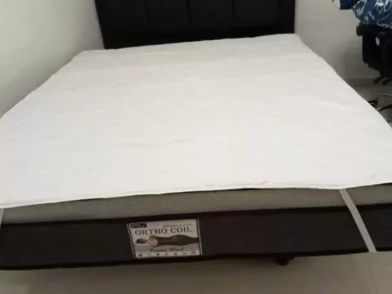 单间出租 • 金文泰 • 28 Jalan Klinik • S$1400 • 3房(2臥室) • 普通房 照片