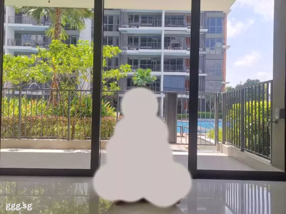 整套出租 • 梧槽 •  North Park Residences • S$3200 • 住宅公寓 • 531ft² / 49m² 照片