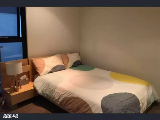 单间出租 • 纽顿 •  Newton 18 • S$800 • 住宅公寓 • 主人房 照片