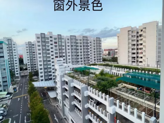 单间出租 • 梧槽 • 427 Yishun Avenue 11 • S$880 • 3房(2臥室) • 普通房 照片