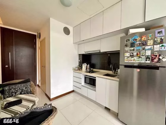 整套出租 • 欧南 •  Guillemard Edge • S$3150 • 住宅公寓 • 441ft² / 40m² 照片