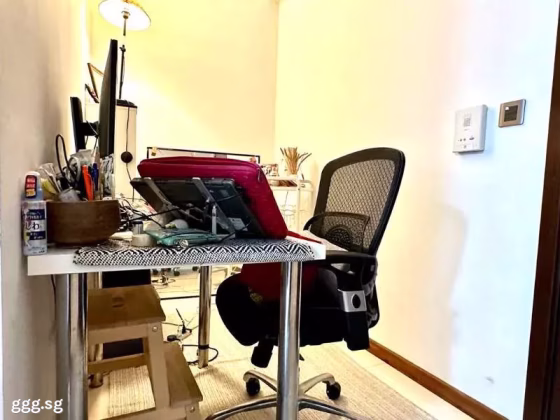 整套出租 • 欧南 •  Guillemard Edge • S$3150 • 住宅公寓 • 441ft² / 40m² 照片