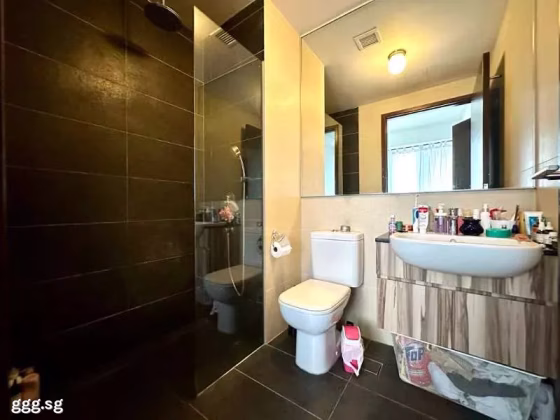 整套出租 • 欧南 •  Guillemard Edge • S$3150 • 住宅公寓 • 441ft² / 40m² 照片