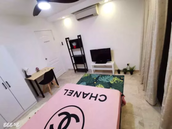 单间出租 • 南部群岛 •  Wilkie 87 • S$1600 • 住宅公寓 • 普通房 照片
