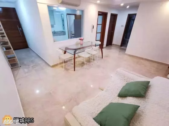 单间出租 • 南部群岛 •  Wilkie 87 • S$1600 • 住宅公寓 • 普通房 照片