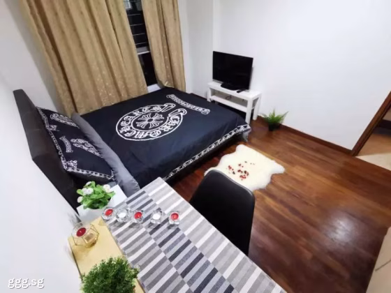 单间出租 • 南部群岛 •  Wilkie 87 • S$1600 • 住宅公寓 • 普通房 照片