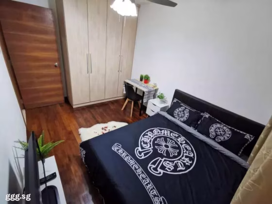 单间出租 • 南部群岛 •  Wilkie 87 • S$1600 • 住宅公寓 • 普通房 照片