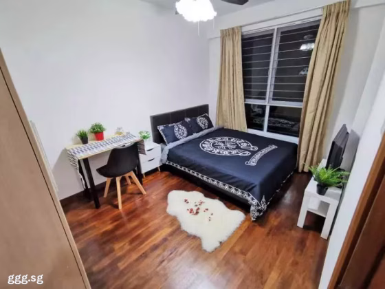 单间出租 • 南部群岛 •  Wilkie 87 • S$1600 • 住宅公寓 • 普通房 照片