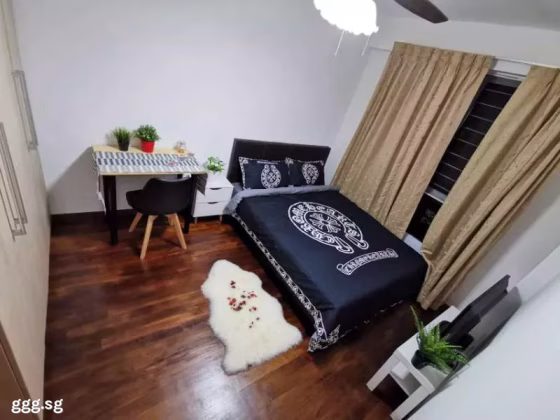 单间出租 • 南部群岛 •  Wilkie 87 • S$1600 • 住宅公寓 • 普通房 照片