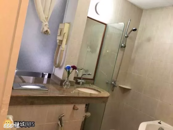 单间出租 • 纽顿 •  Ava Towers • S$1200 • 住宅公寓 • 普通房 照片