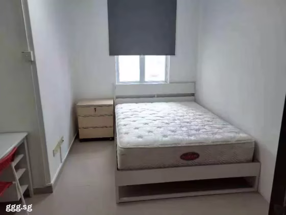单间出租 • 欧南 •  Primedge @ Geylang • S$1200 • 共管公寓 • 普通房 照片