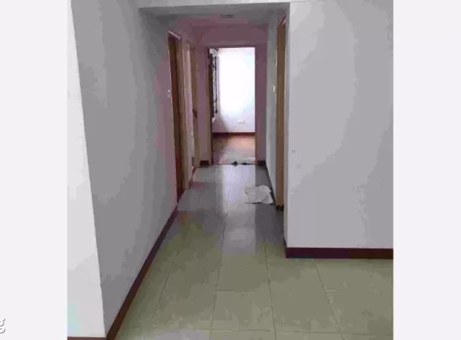 房屋出售 • 林厝港 • 987A Jurong West Street 93 • S$600000 • 3房(2臥室) • 1184ft² / 109m² 照片