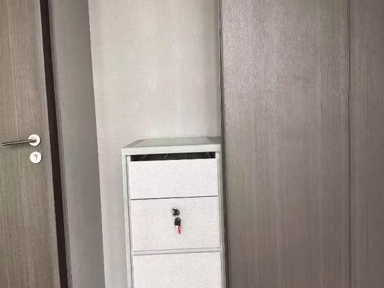 整套出租 • 勿洛 •  Rv Altitude • S$6000 • 共管公寓 •  照片