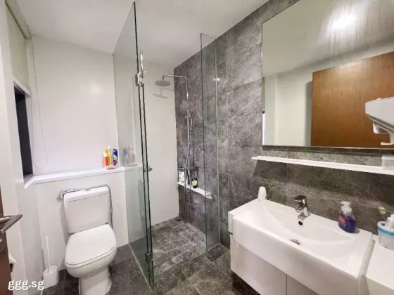 房屋出售 • 樟宜 •  Parc Centros • S$840000 • 住宅公寓 • 463ft² / 43m² 照片